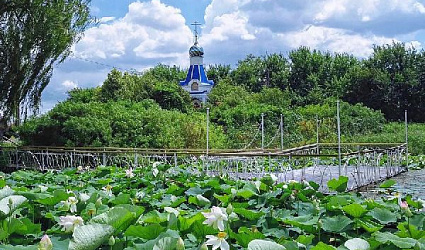 Краснодарское Озеро Лотосов основательно почистили