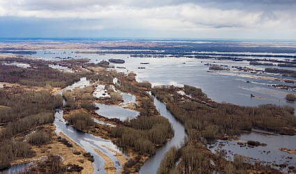 Великие водоемы России: Васюганские болота