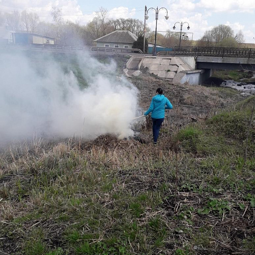 Акция "Вода России" в Курской области