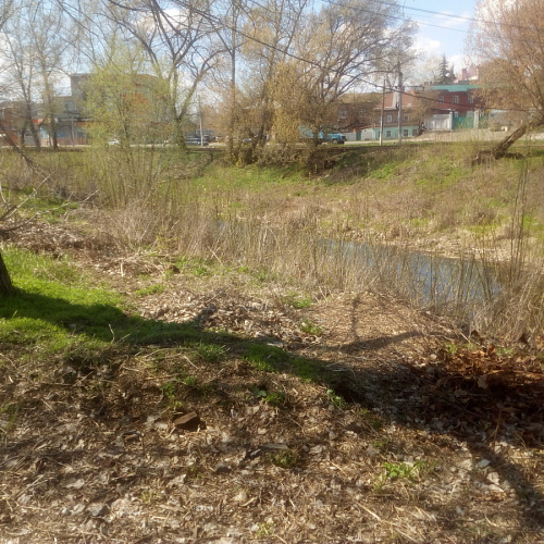 Акция "Вода России" в Курской области