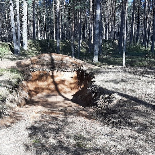 Акция "Вода России" в Новгородской области