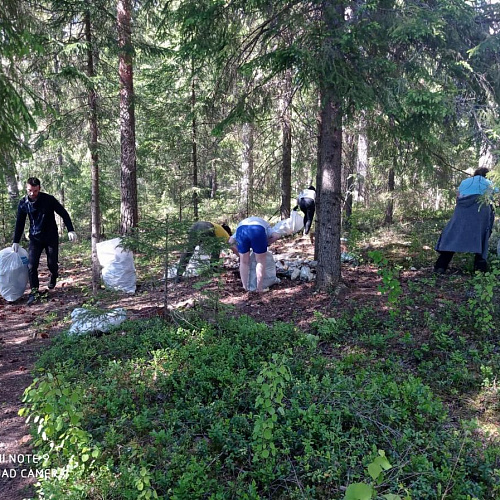 Акция "Вода России" в Новгородской области