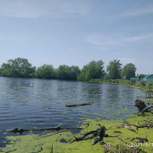 Акция "Вода России" в Рязанской области