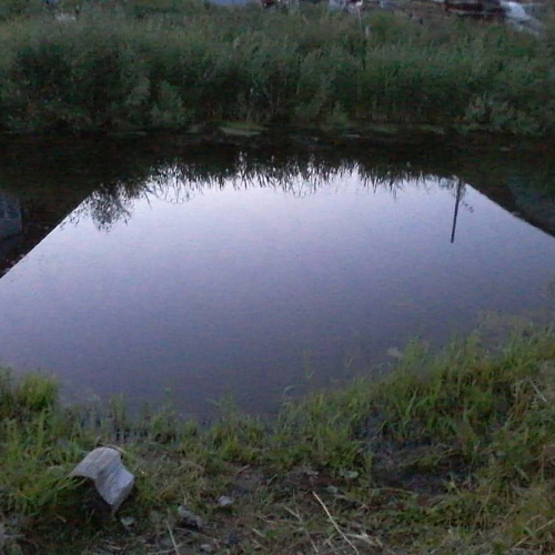 Акция "Вода России" в Тюменской области