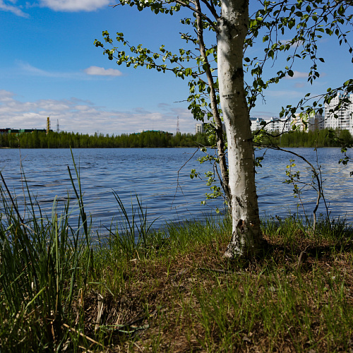 г.Нижневартовск, озеро Комсомольское, 29.05.2021