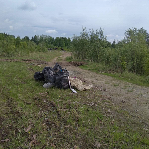 Акция "Вода России" в Тюменской области