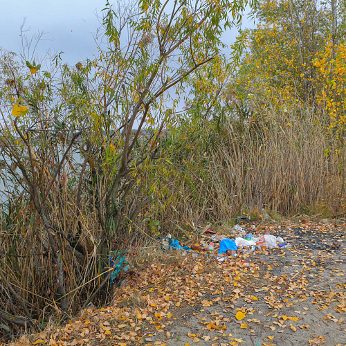 Акция "Вода России" в Белгородской области