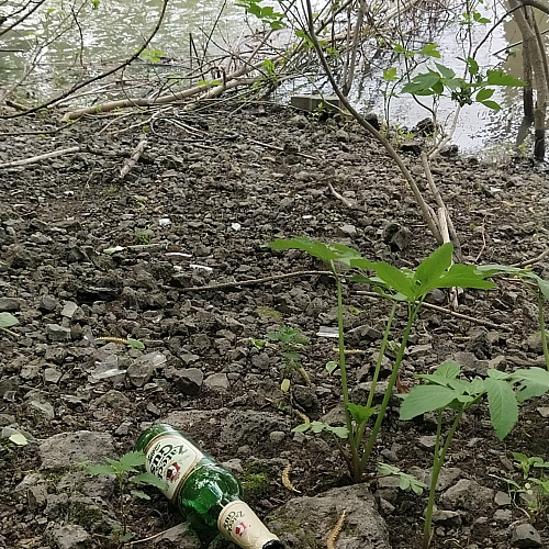 Новокузнецк, берег реки Томь, 27.05.2021