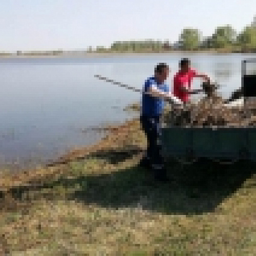 Чистые берега в Костромской области