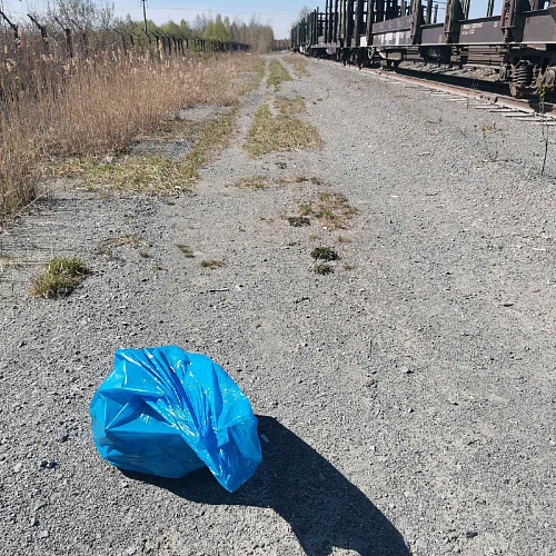 Акция "Вода России" в Тюменской области