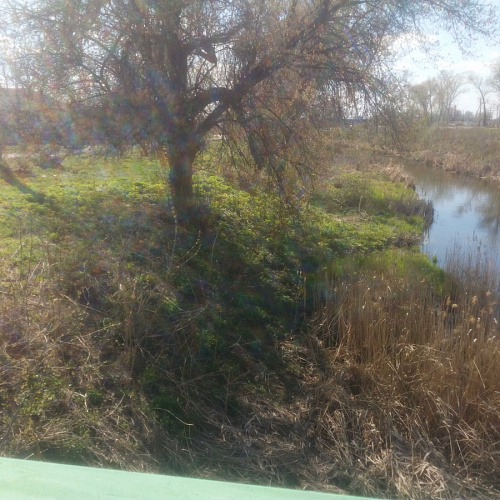 Акция "Вода России" в Курской области