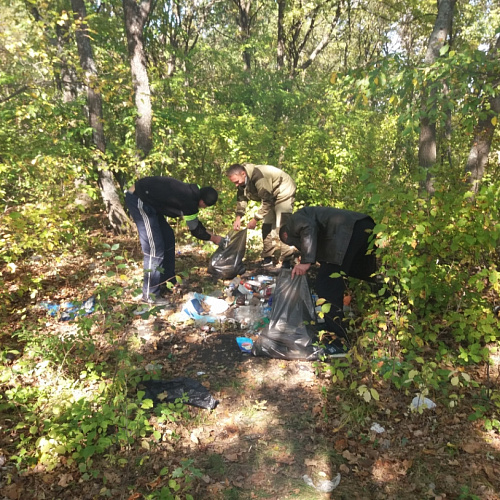 Марафон "Чистые берега" в Воронежской области