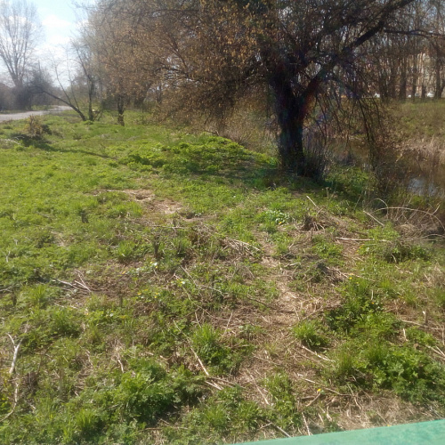 Акция "Вода России" в Курской области