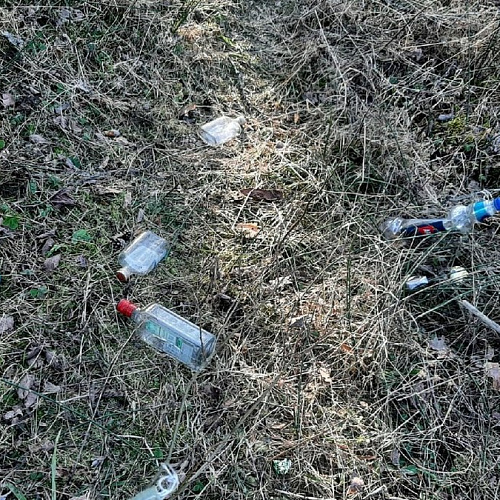 Акция "Вода России" в Новгородской области