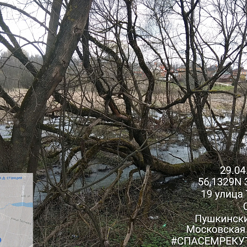 Софрино, Махорка, 15.05.2021