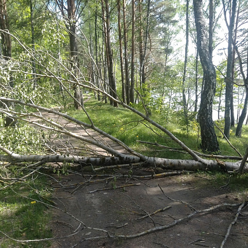 Акция "Вода России" в Псковской области