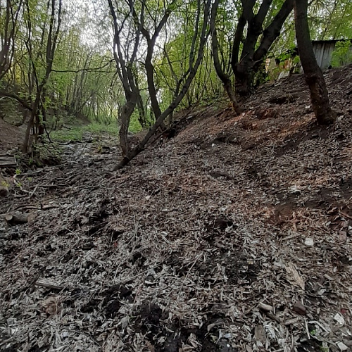 город Мензелинск, Безымянный ручей в овраге за третьим комплексом, 12.05.2021