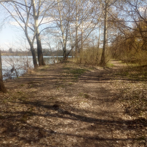Акция "Вода России" в Курской области