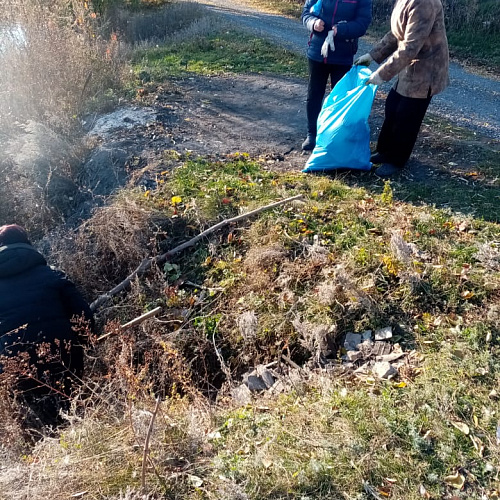 Акция "Вода России" в Курской области