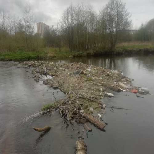 Акция "Вода России" в Московской области