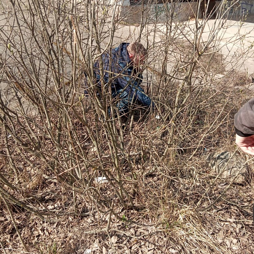 Акция "Вода России" в Новгородской области