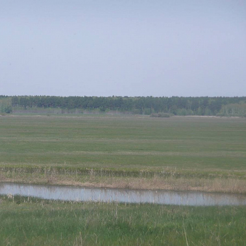 Акция "Вода России" в Тюменской области