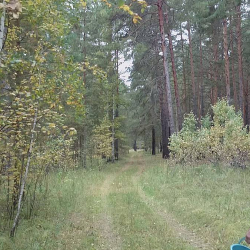 Акция "Вода России" в Тюменской области